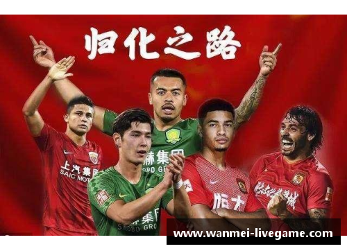 归化华裔球员：融合与挑战