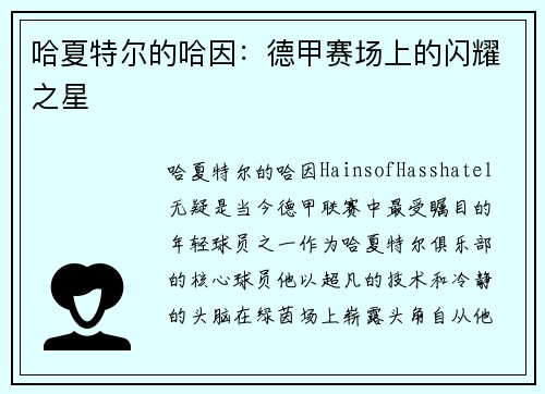 哈夏特尔的哈因：德甲赛场上的闪耀之星